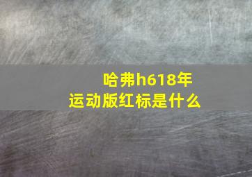 哈弗h618年运动版红标是什么