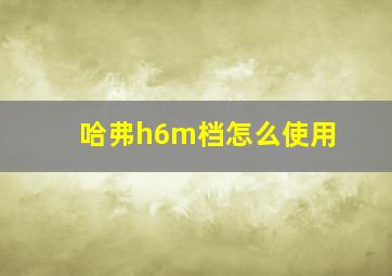 哈弗h6m档怎么使用