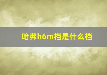 哈弗h6m档是什么档