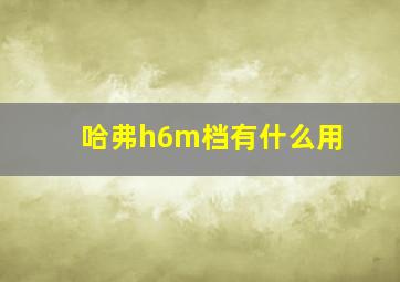 哈弗h6m档有什么用