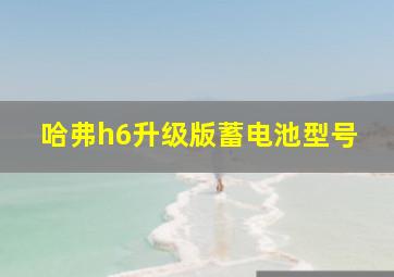 哈弗h6升级版蓄电池型号