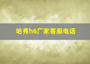 哈弗h6厂家客服电话