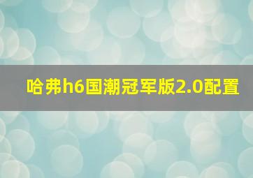 哈弗h6国潮冠军版2.0配置