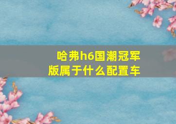 哈弗h6国潮冠军版属于什么配置车