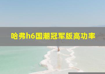 哈弗h6国潮冠军版高功率