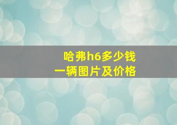 哈弗h6多少钱一辆图片及价格