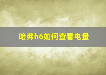 哈弗h6如何查看电量