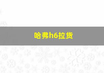 哈弗h6拉货