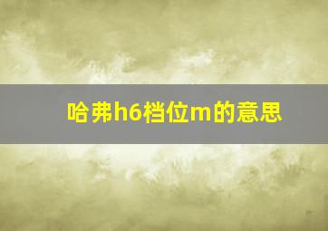 哈弗h6档位m的意思