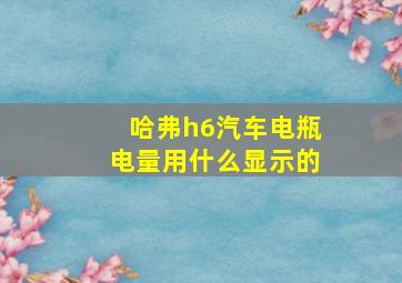 哈弗h6汽车电瓶电量用什么显示的