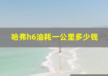 哈弗h6油耗一公里多少钱