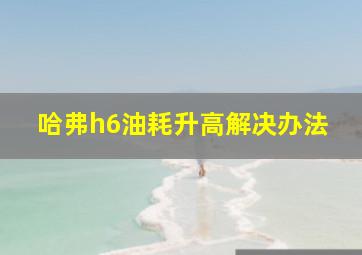 哈弗h6油耗升高解决办法