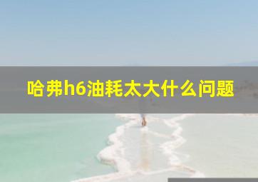 哈弗h6油耗太大什么问题