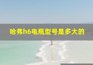 哈弗h6电瓶型号是多大的