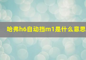 哈弗h6自动挡m1是什么意思