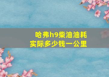 哈弗h9柴油油耗实际多少钱一公里