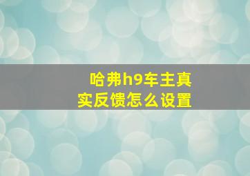 哈弗h9车主真实反馈怎么设置