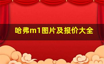 哈弗m1图片及报价大全