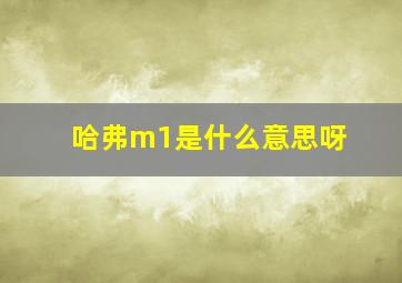 哈弗m1是什么意思呀