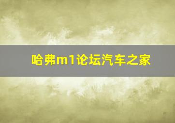 哈弗m1论坛汽车之家