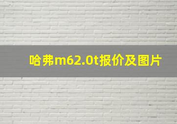 哈弗m62.0t报价及图片