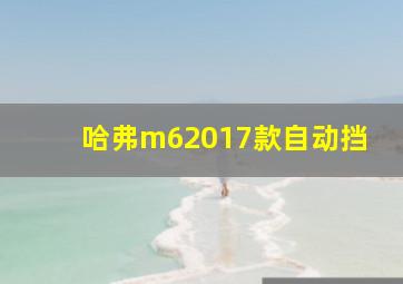 哈弗m62017款自动挡