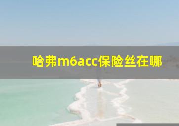 哈弗m6acc保险丝在哪