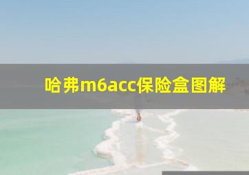 哈弗m6acc保险盒图解