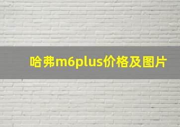 哈弗m6plus价格及图片