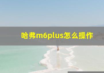 哈弗m6plus怎么操作