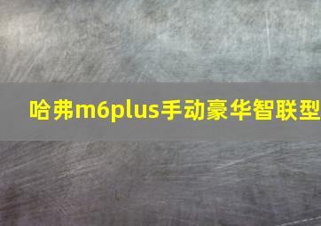 哈弗m6plus手动豪华智联型