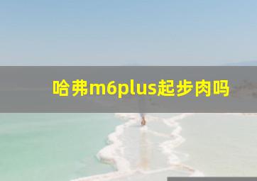 哈弗m6plus起步肉吗