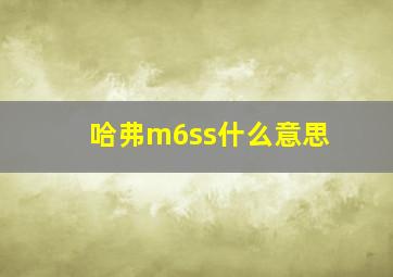 哈弗m6ss什么意思