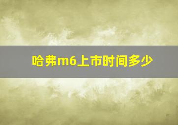 哈弗m6上市时间多少