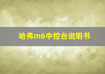 哈弗m6中控台说明书