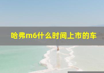 哈弗m6什么时间上市的车