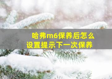 哈弗m6保养后怎么设置提示下一次保养