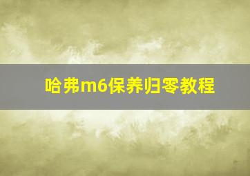 哈弗m6保养归零教程