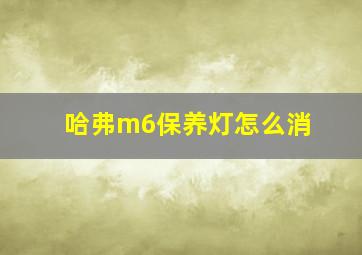 哈弗m6保养灯怎么消