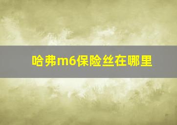 哈弗m6保险丝在哪里