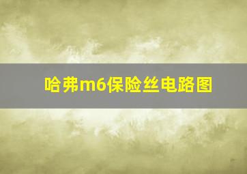 哈弗m6保险丝电路图