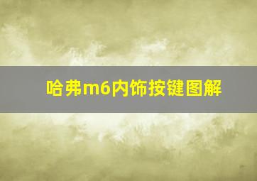 哈弗m6内饰按键图解