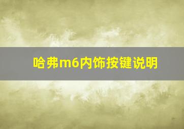 哈弗m6内饰按键说明