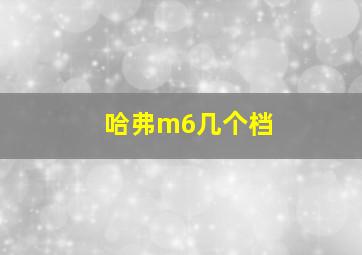 哈弗m6几个档