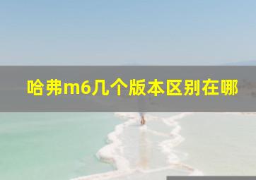 哈弗m6几个版本区别在哪