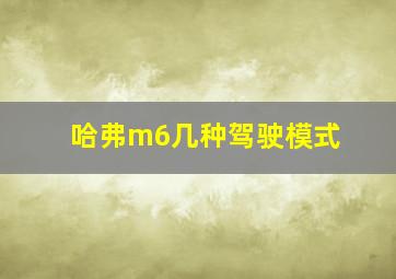 哈弗m6几种驾驶模式