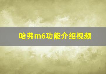 哈弗m6功能介绍视频