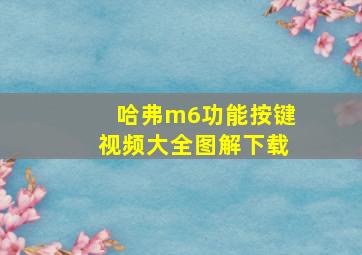 哈弗m6功能按键视频大全图解下载