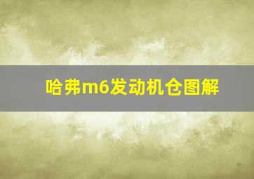 哈弗m6发动机仓图解