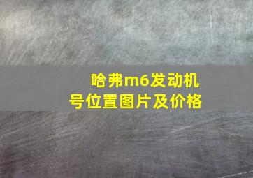 哈弗m6发动机号位置图片及价格